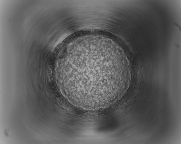 X0000103430871200809261728