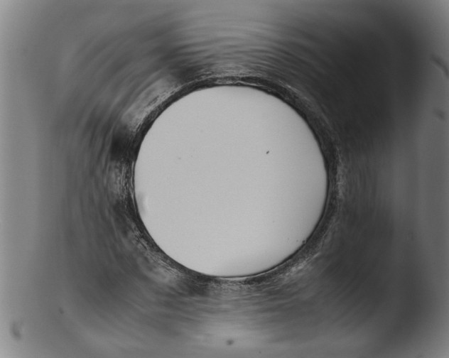 X0000103430873200809261728