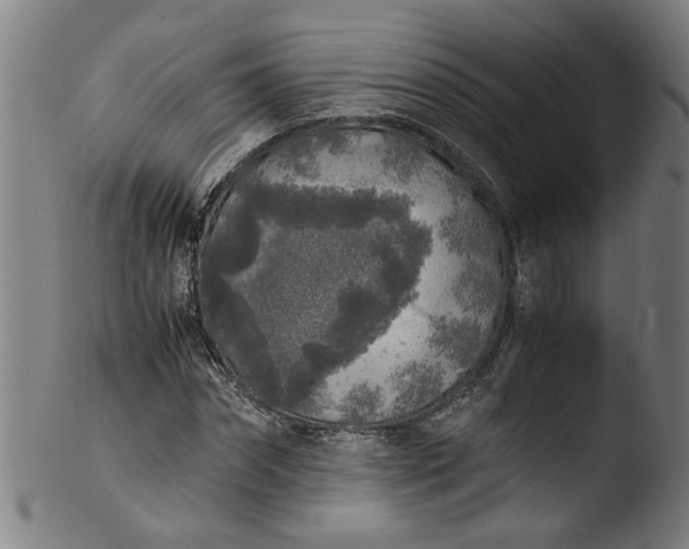 X0000103430874200809261728