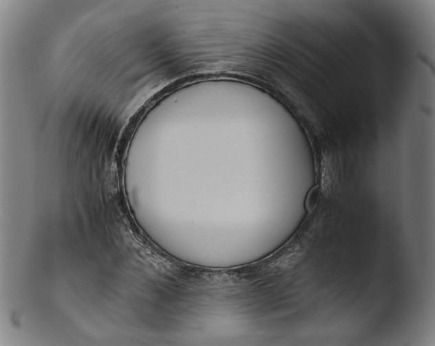 X0000103430876200809261728