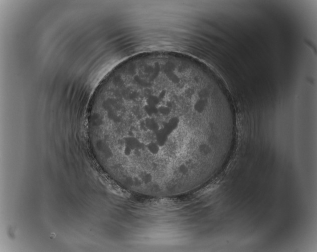 X0000103430879200809261728