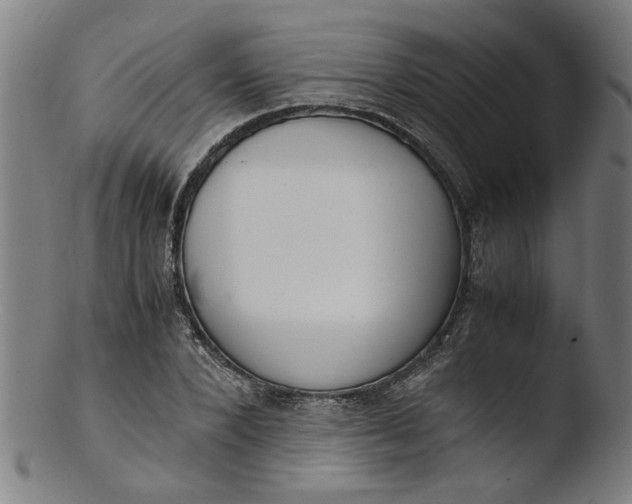 X0000103430880200809261728