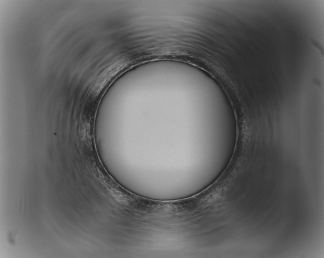 X0000103430881200809261728