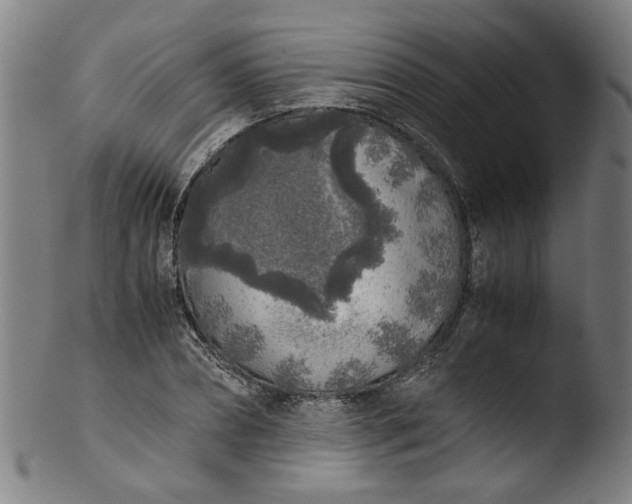 X0000103430882200809261728