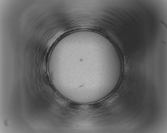 X0000103430883200809261728