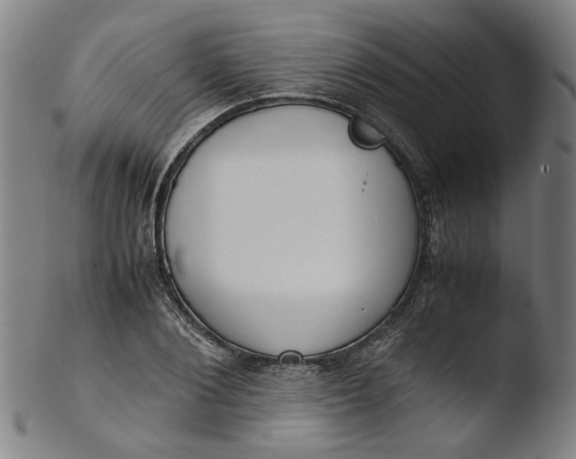 X0000103430884200809261728