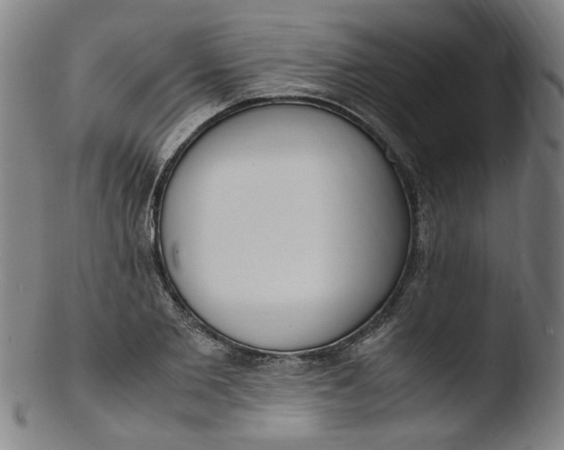 X0000103430885200809261728