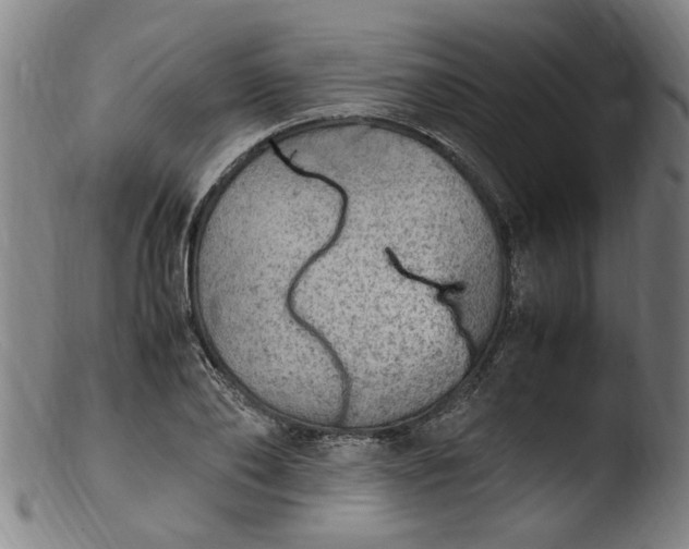 X0000103430886200809261728