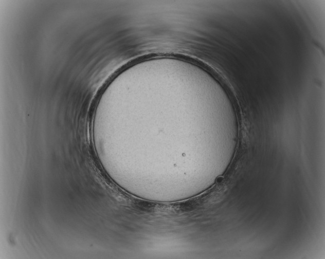 X0000103430887200809261728