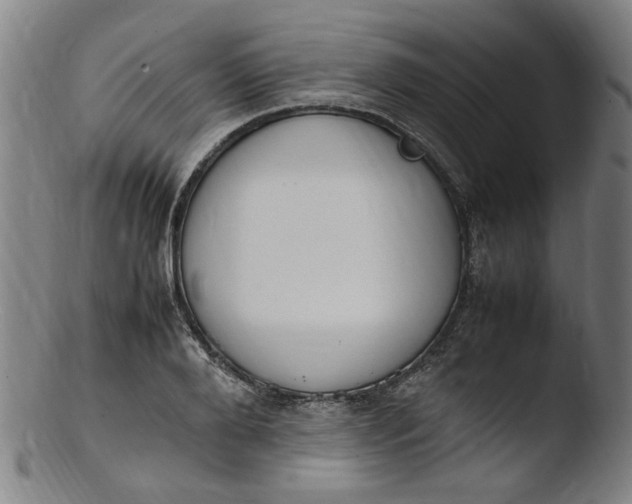 X0000103430888200809261728