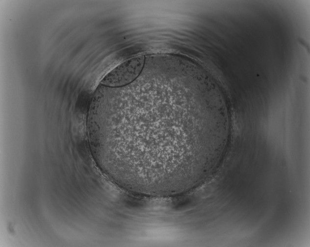 X0000103430889200809261728