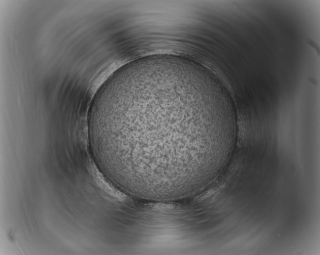 X0000103430890200809261728