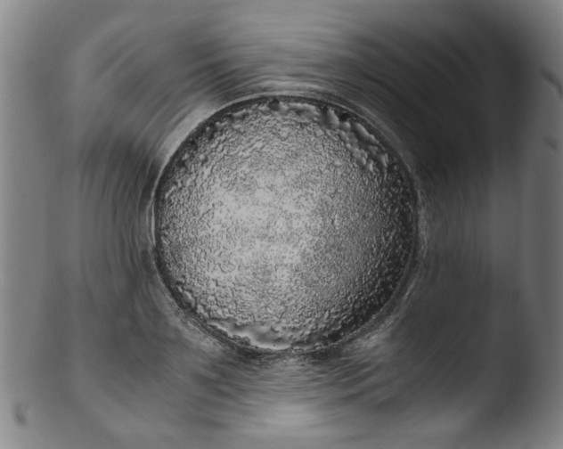 X0000103430891200809261728