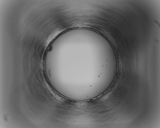 X0000103430893200809261728