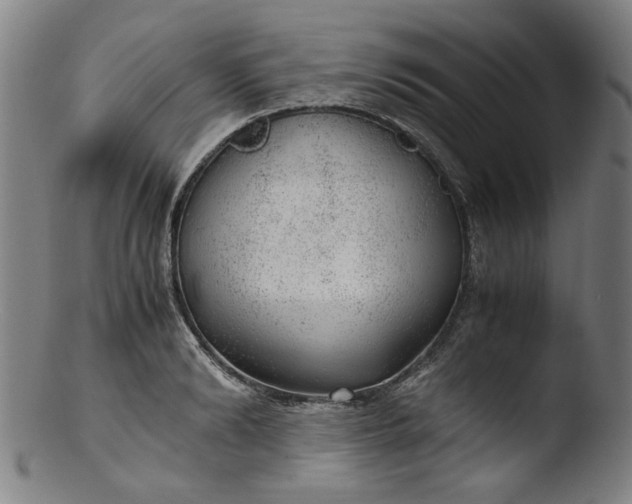 X0000103430894200809261728