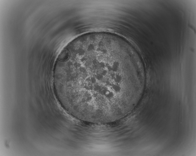 X0000103430895200809261728