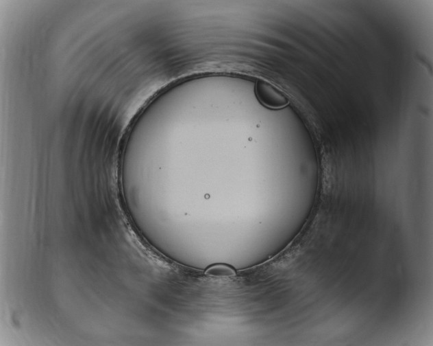 X0000103430896200809261728