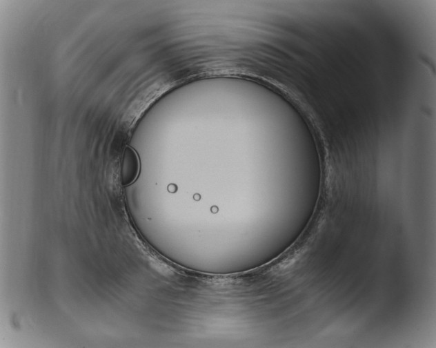 X0000103430897200809261728