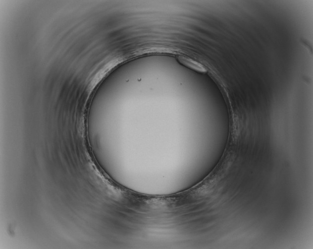 X0000103430898200809261728