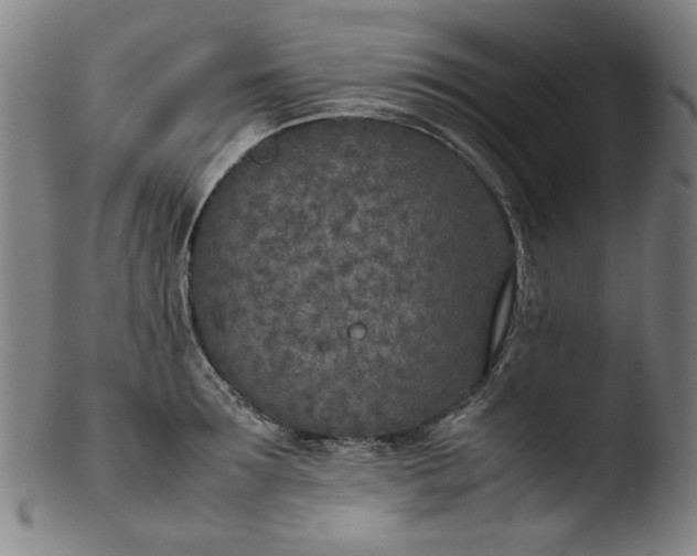 X0000103430899200809261728