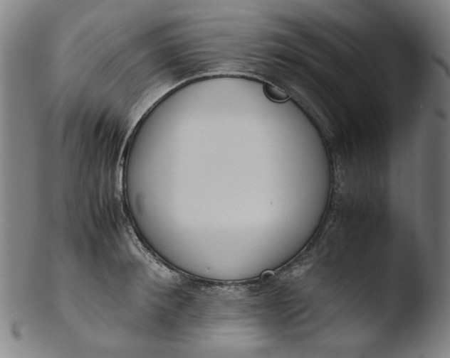 X0000103430900200809261728