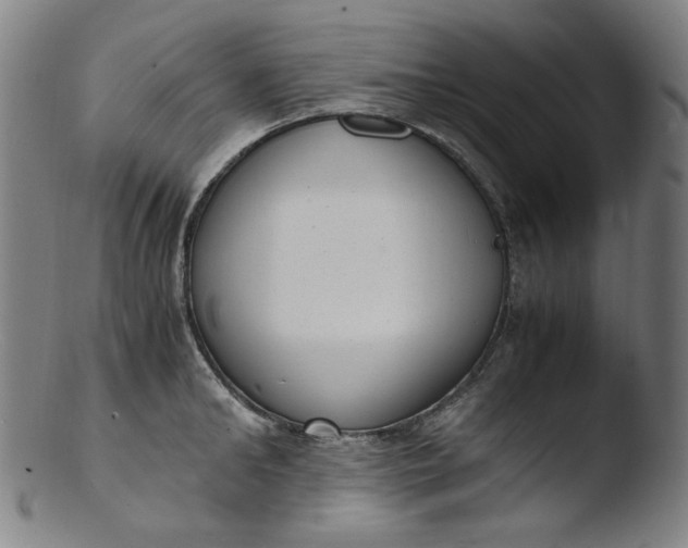 X0000103430902200809261728