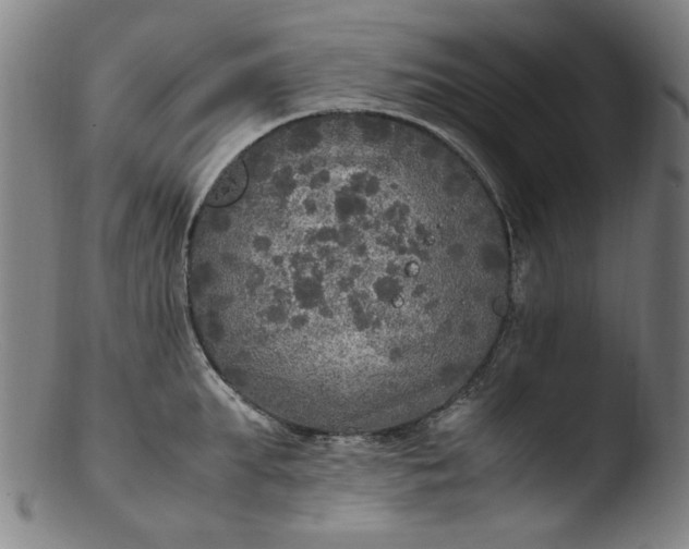 X0000103430903200809261728