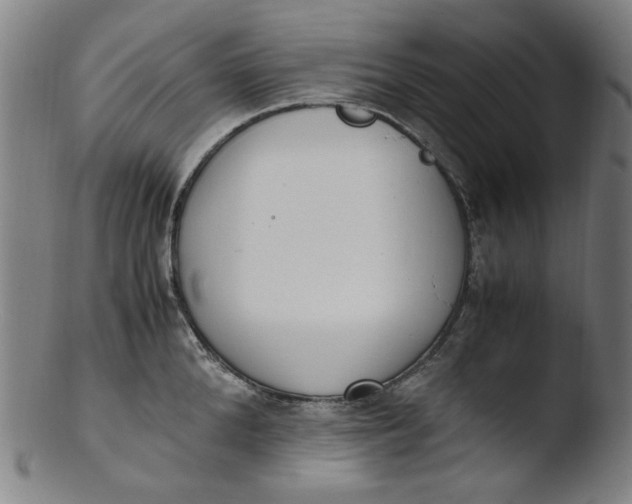 X0000103430904200809261728