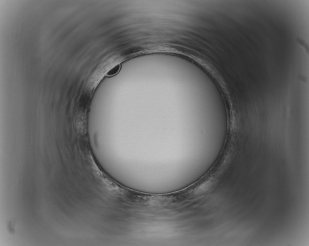 X0000103430905200809261728