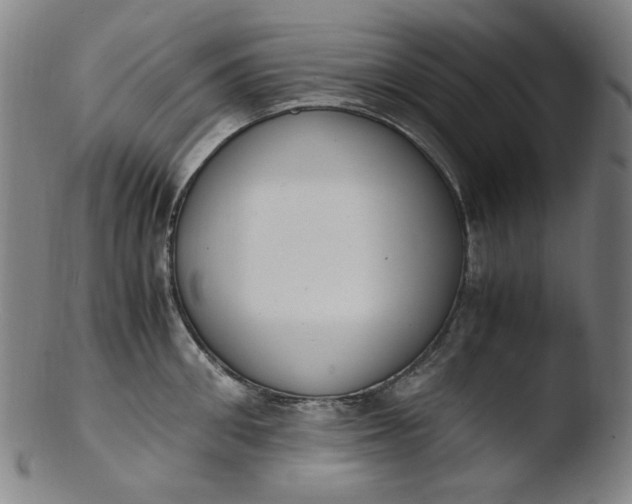 X0000103430906200809261728