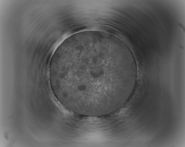 X0000103430907200809261728