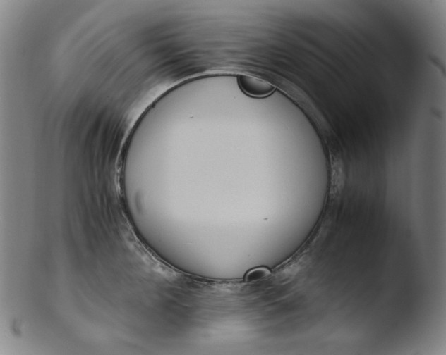 X0000103430908200809261728