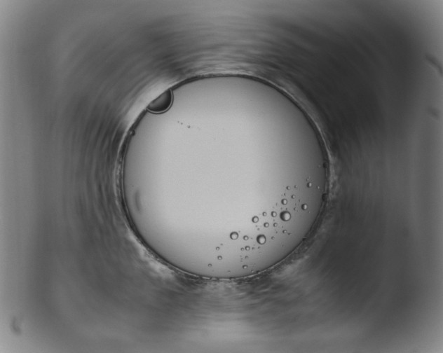 X0000103430909200809261727