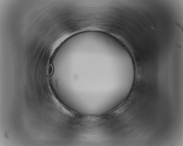 X0000103430910200809261727