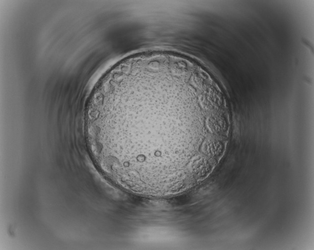 X0000103430911200809261727