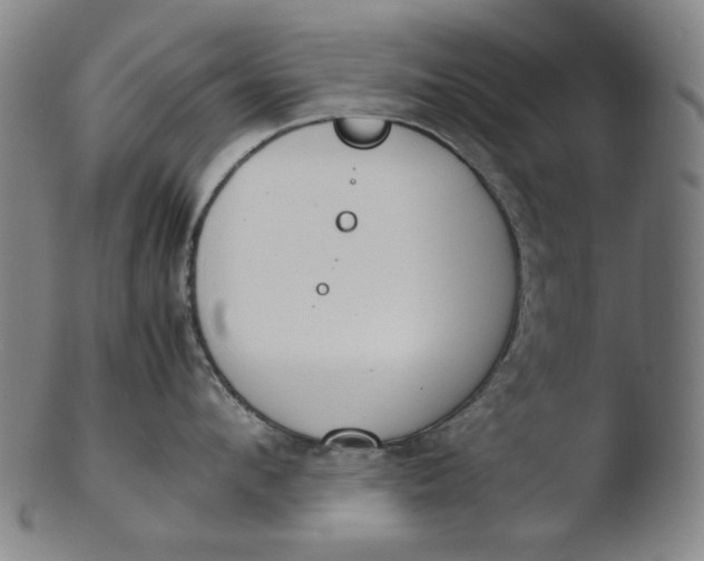 X0000103430912200809261727