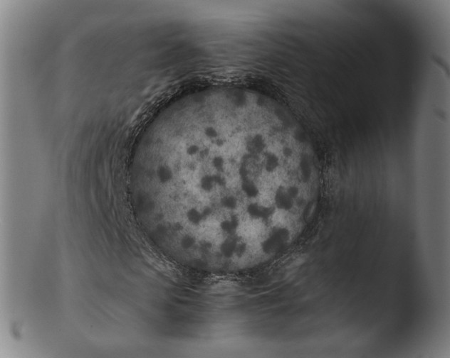 X0000103430913200809261727