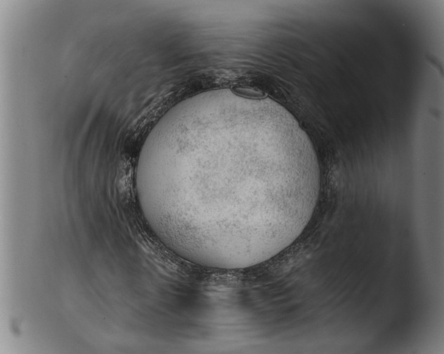 X0000103430914200809261727