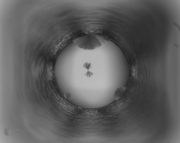 X0000103430915200809261727