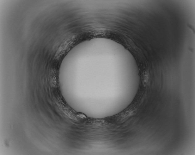 X0000103430916200809261727