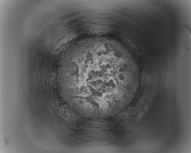 X0000103430917200809261727