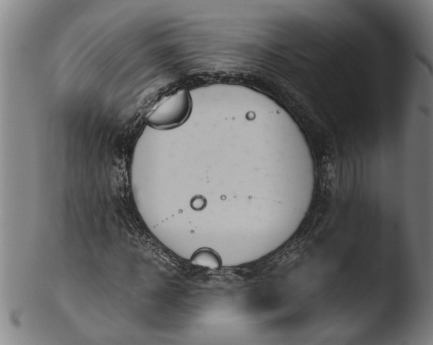 X0000103430918200809261727