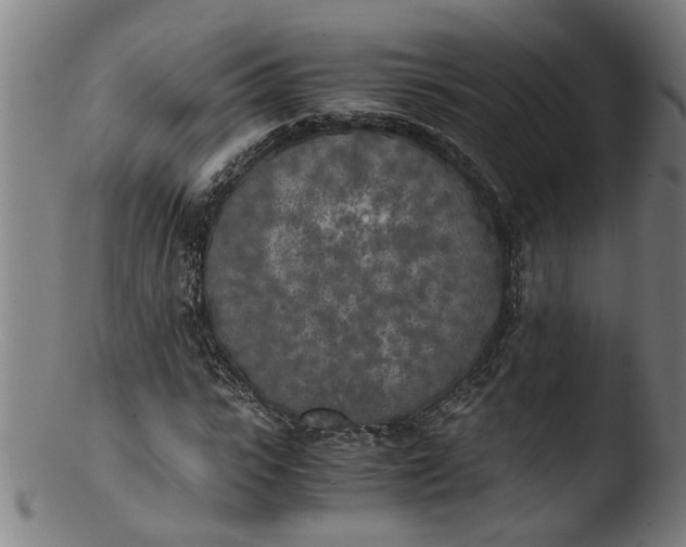 X0000103430919200809261727