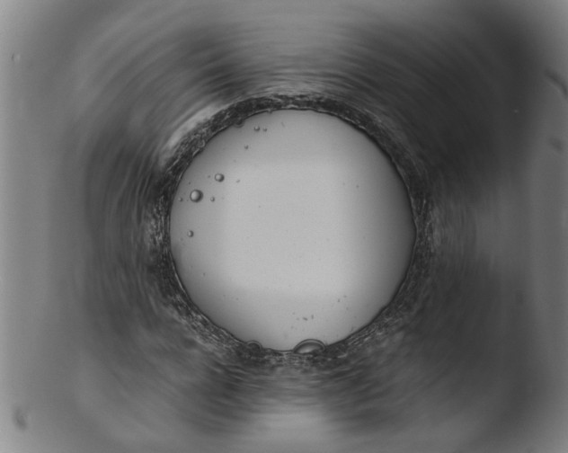 X0000103430920200809261727