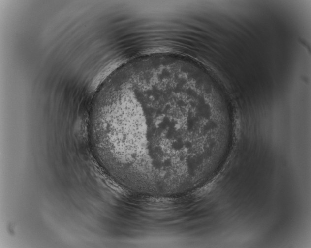 X0000103430921200809261727