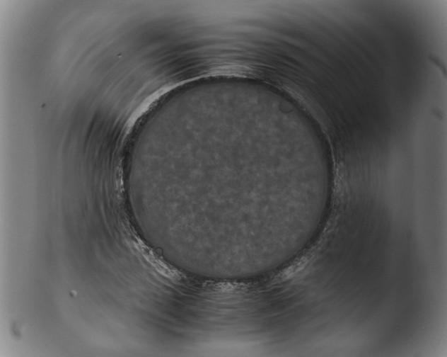 X0000103430923200809261727