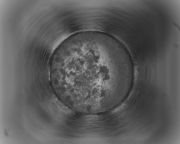 X0000103430925200809261727