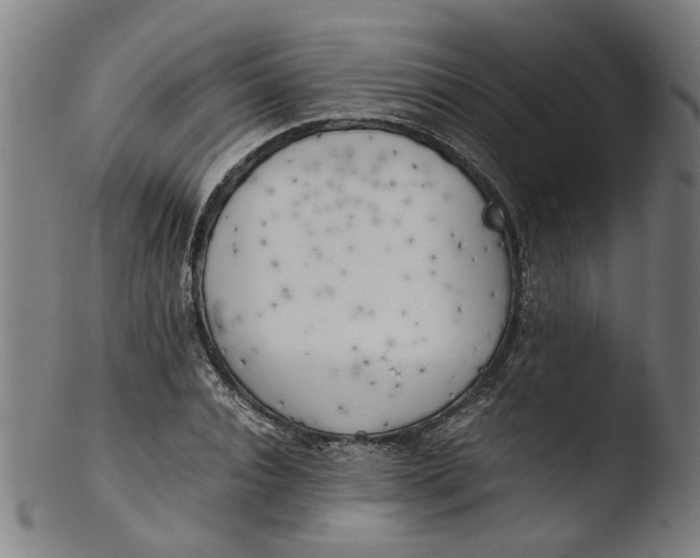 X0000103430928200809261727