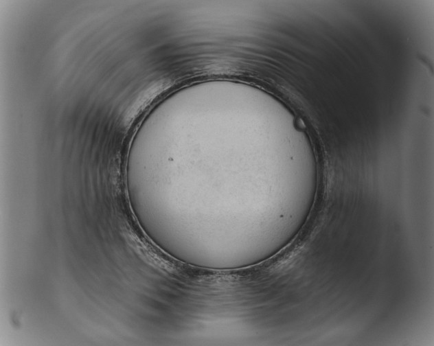 X0000103430930200809261727