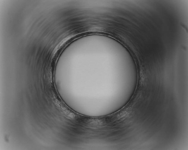 X0000103430931200809261727